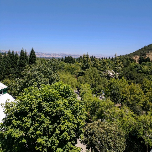 yordangarcia